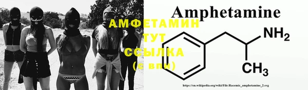 apvp Алзамай