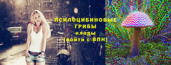 apvp Алзамай