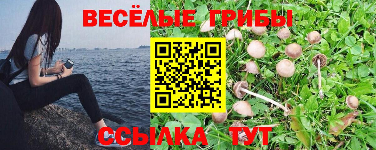Галлюциногенные грибы прущие грибы Пушкино