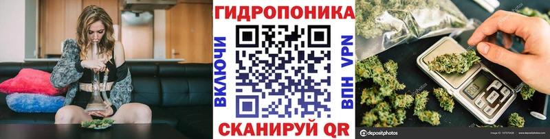 Марихуана конопля  blacksprut сайт  Пушкино 